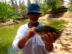 Рыбалка Вьетнам апрель 2018