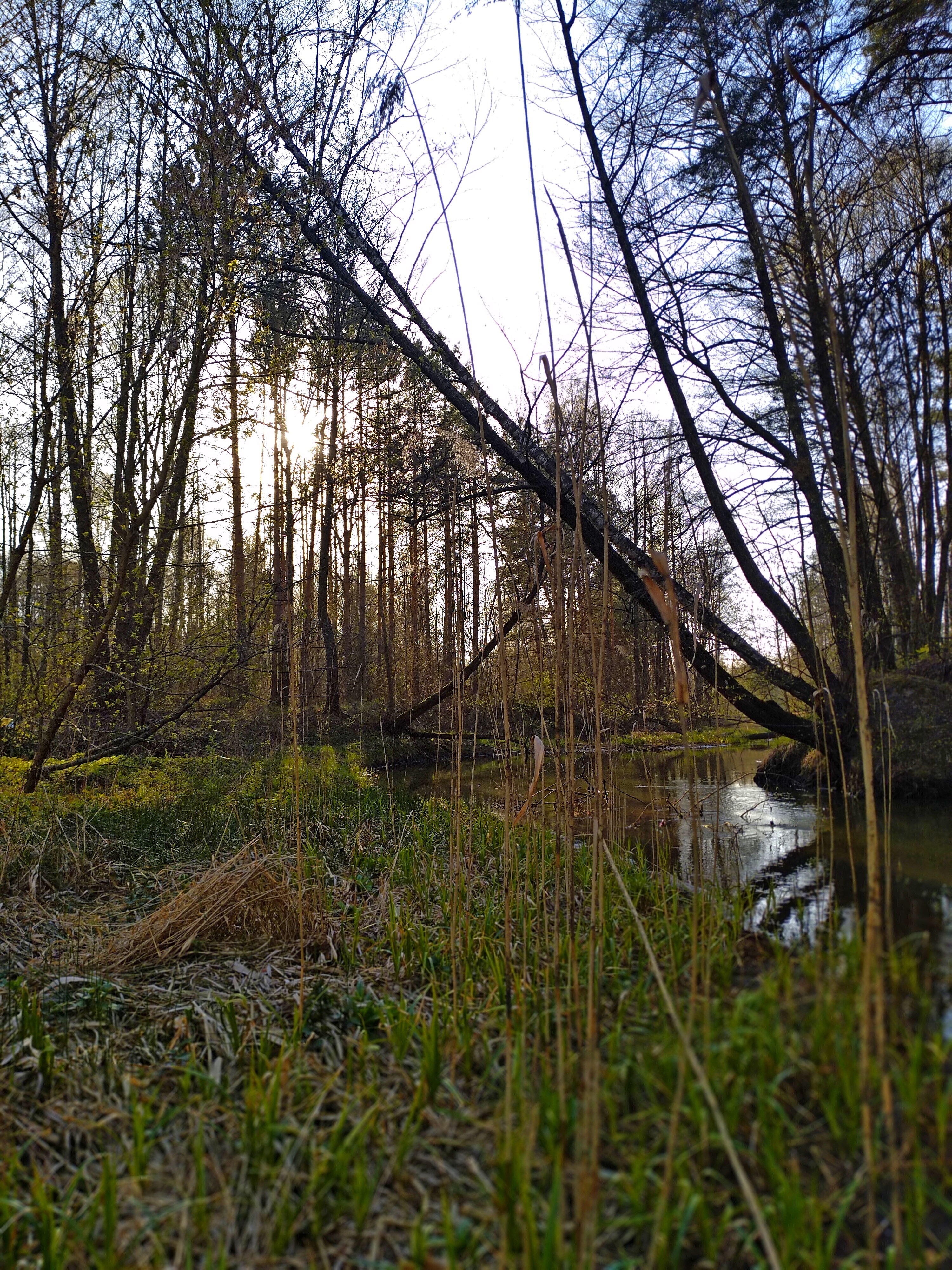 Погода терюха. Гомель село Терюха.